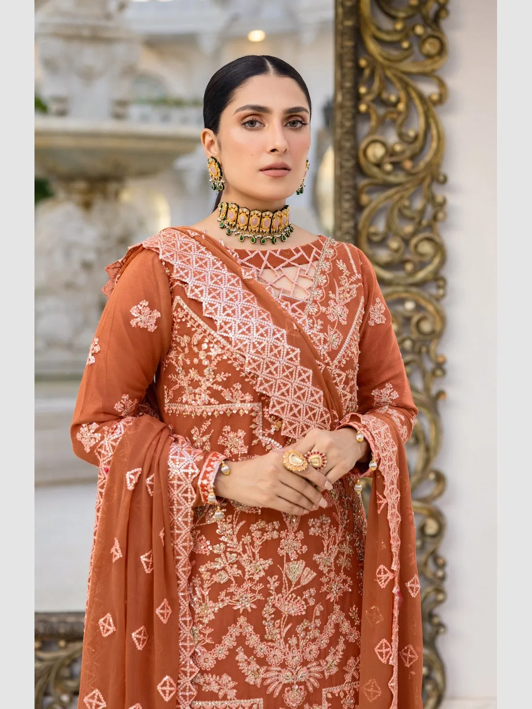 Designer Chiffon Embroidered