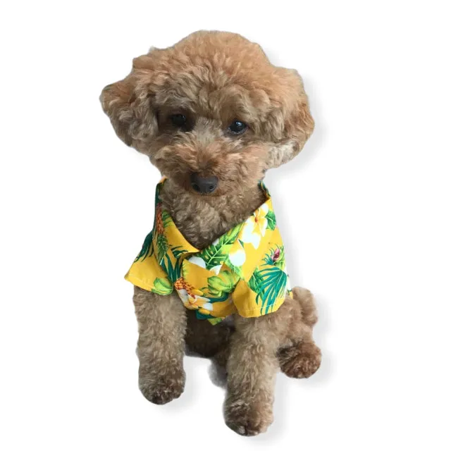 Dog Hawaiian Shirts Discount Set | Hawaiian Prints 3 Shirts Set