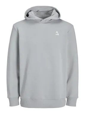 JCOTRIANGLE SWEAT HOOD SN