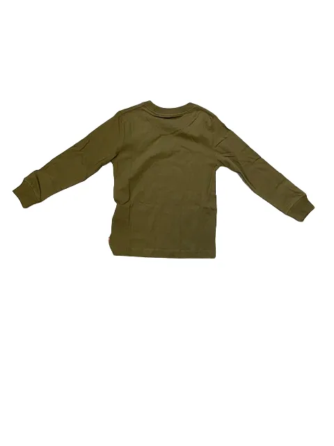 Levi's Kids Long Sleeve T-shirt Poster Logo dark olive