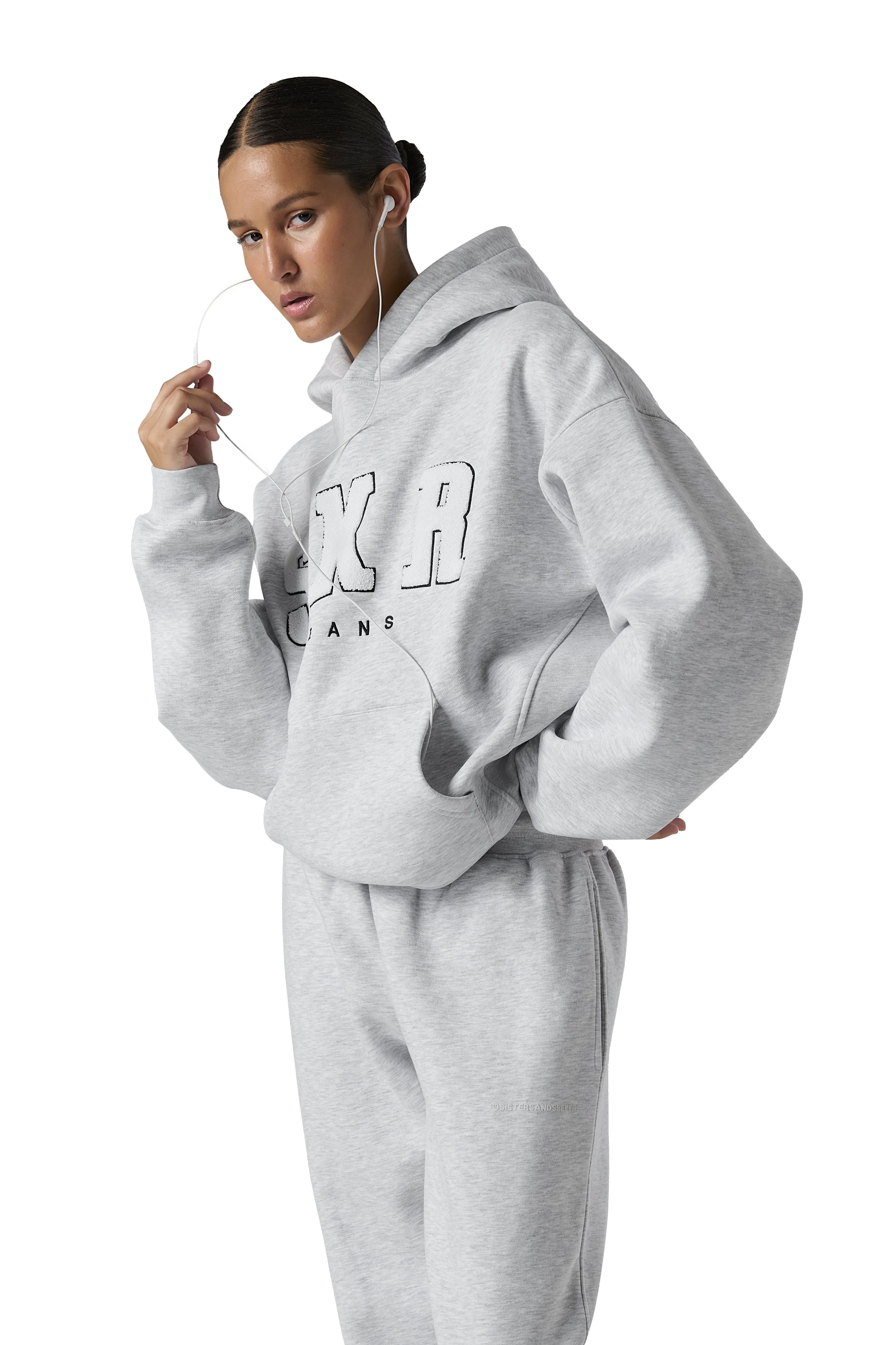 Premium Official SKR Logo Hoodie in Subtle Passive Hue