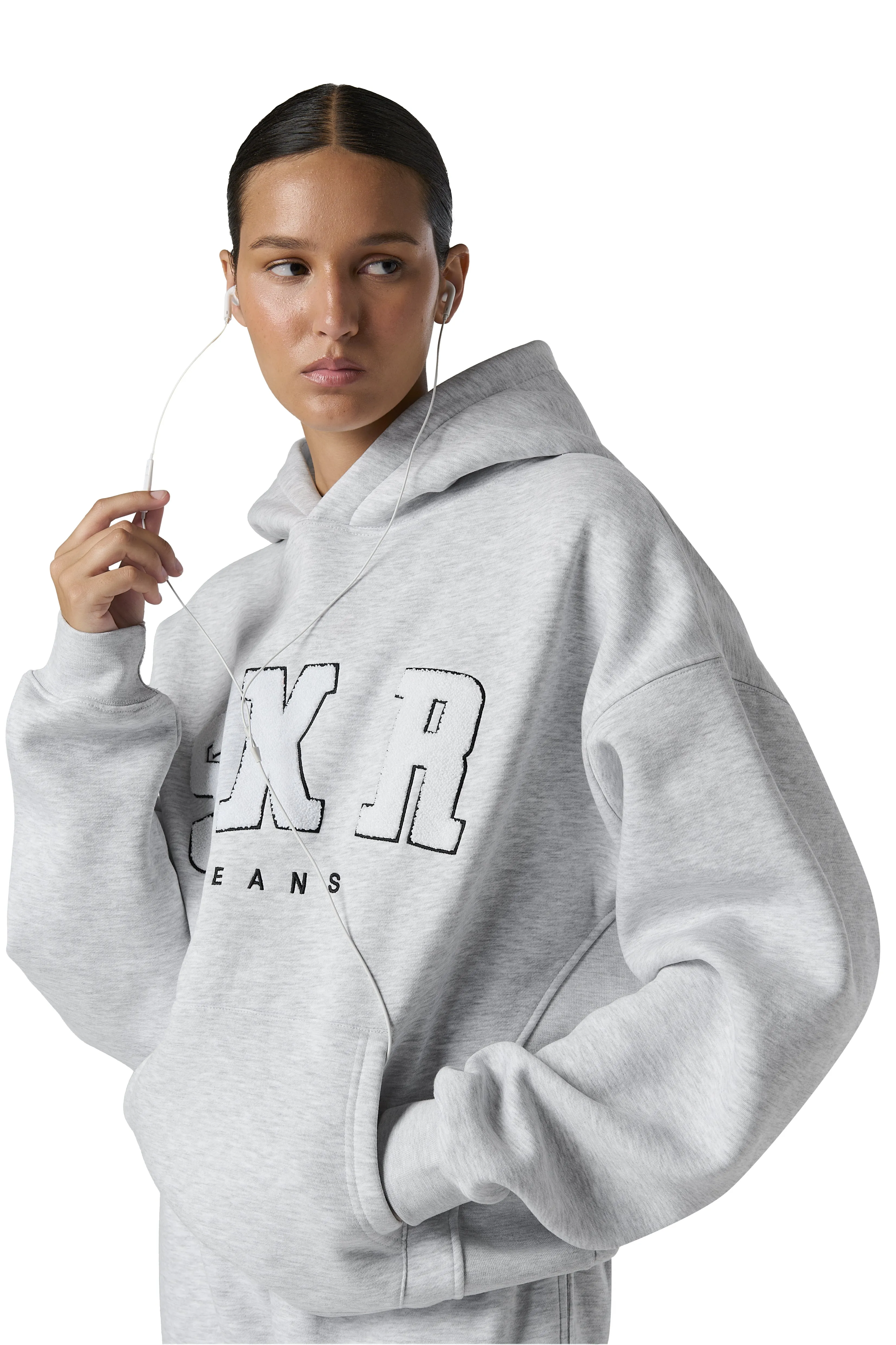 Premium Official SKR Logo Hoodie in Subtle Passive Hue