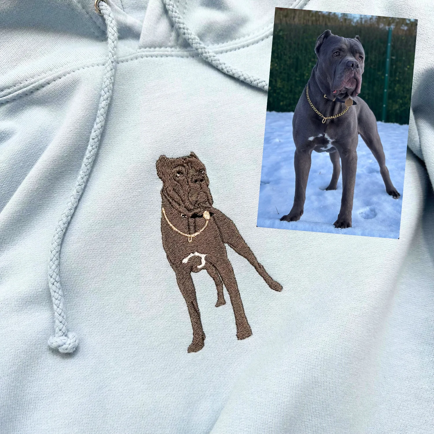 Pet Portrait Hoodie