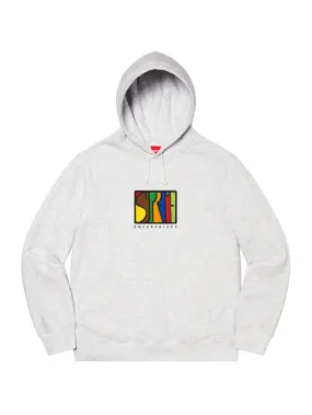 Supreme Enterprises Hoodie Ash Grey [FW20]